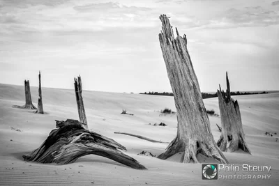 Golden Township - Photo 2