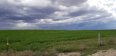Owyhee County - Photo 3