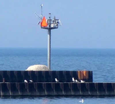 Olcott - Photo 2