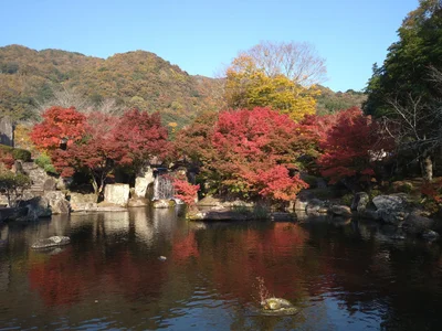 Nakatsu - Photo 3