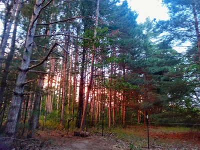 Town of Spring Green - Photo 2