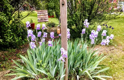 Town of Spring Green - Photo 4