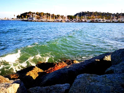 Cavalaire-sur-Mer - Photo 2