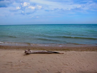 Fox Point - Photo 3
