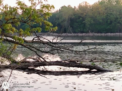 Okauchee Lake - Photo 2