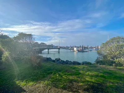 Bandon - Photo 2