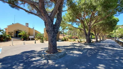 Bormes-les-Mimosas - Photo 3