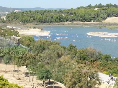 Sigean - Photo 3