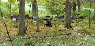 Village of Skaneateles - Photo 4