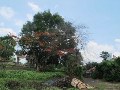 Dak Nong Province - Photo 4
