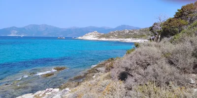 Santo-Pietro-di-Tenda - Photo 3
