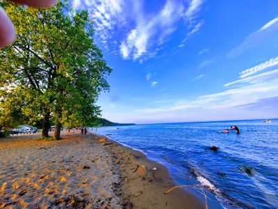Turkey Point - Photo 2