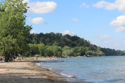 Turkey Point - Photo 3