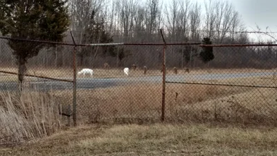Seneca County - Photo 2