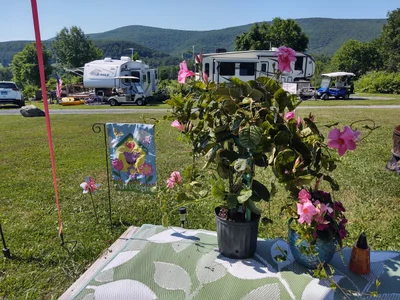 Village of Schoharie - Photo 2