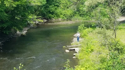 Town of Hartwick - Photo 3
