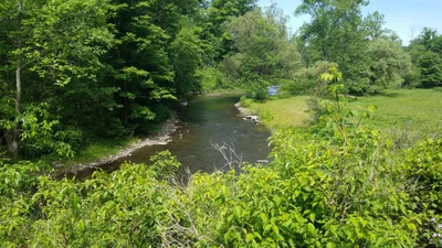 Town of Hartwick - Photo 4
