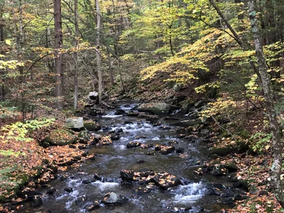 Berkshire County - Photo 2