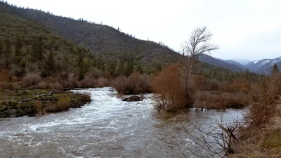Rogue River - Photo 4