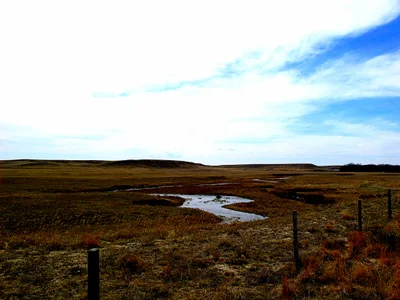 Whistle Creek Precinct - Photo 2