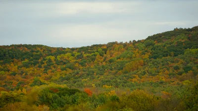 Town of Chatham - Photo 3
