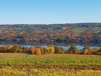 Town of Urbana - Photo 2