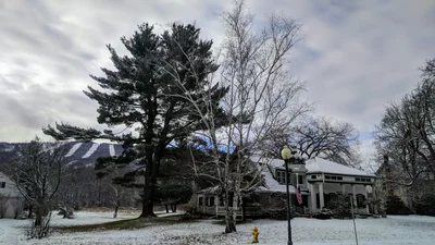 Town of Windham - Photo 3