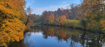 Stockbridge - Photo 5