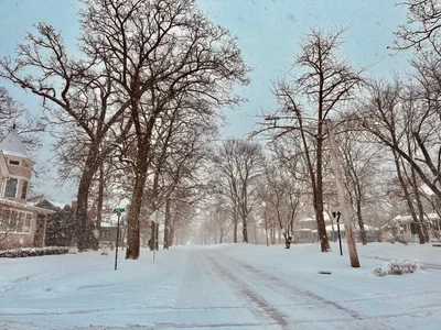 Lake Bluff - Photo 4