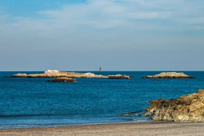 Cohasset - Photo 5