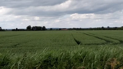Lincolnshire - Photo 5