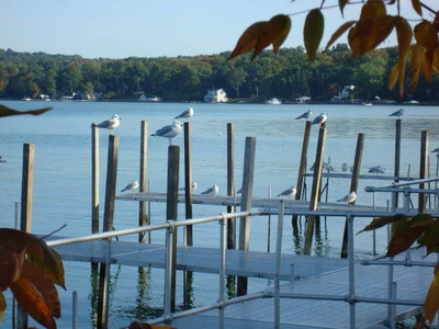 Village of Bemus Point - Photo 5