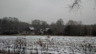 Woodstock - Photo 2