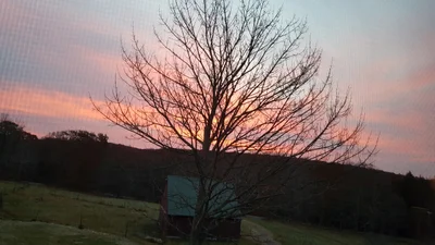 Woodstock - Photo 3