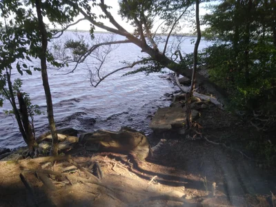 Lakeville - Photo 5