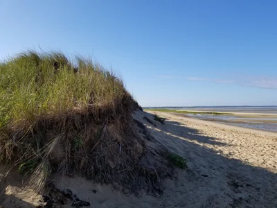 Eastham - Photo 3