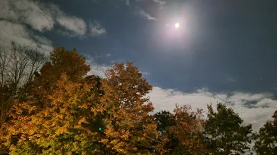 Mansfield - Photo 2