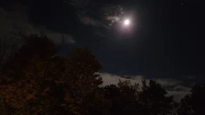 Mansfield - Photo 3