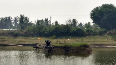 Channapattana - Photo 3