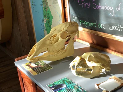 Del Norte County - Photo 2