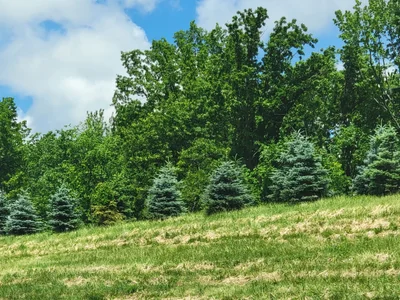 Erie County - Photo 4