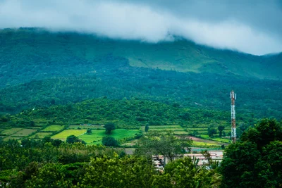 Chikkamagaluru - Photo 2