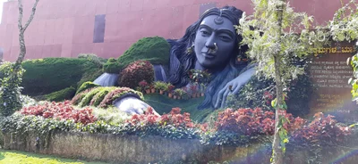 Chikkamagaluru - Photo 5