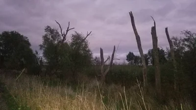 Muscatine County - Photo 2
