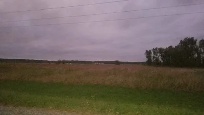 Muscatine County - Photo 3