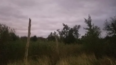 Muscatine County - Photo 4