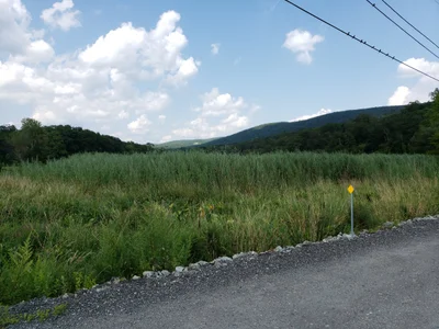 Town of Philipstown - Photo 4