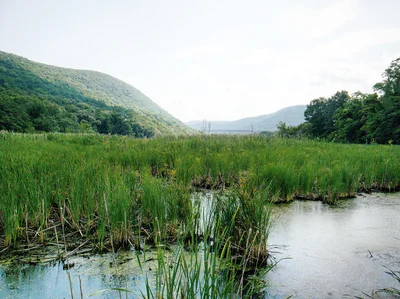 Town of Philipstown - Photo 5