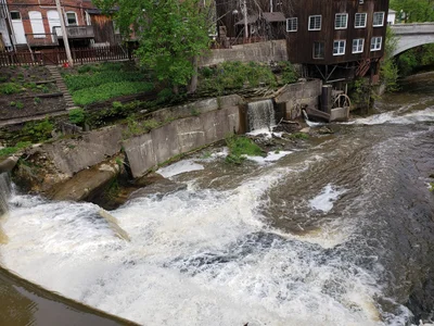 Garrettsville - Photo 4