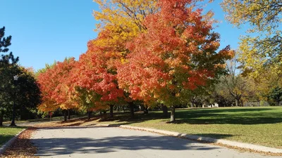 Boys Town - Photo 3